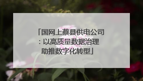 国网上蔡县供电公司：以高质量数据治理 助推数字化转型