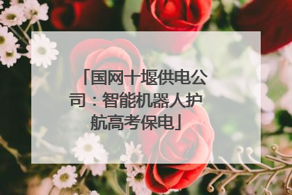 国网十堰供电公司：智能机器人护航高考保电
