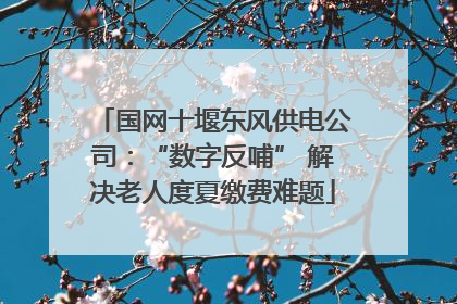 国网十堰东风供电公司：“数字反哺” 解决老人度夏缴费难题