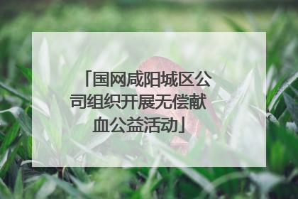 国网咸阳城区公司组织开展无偿献血公益活动
