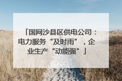 国网沙县区供电公司：电力服务“及时雨”，企业生产“动能强”