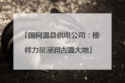 国网温县供电公司：榜样力量浸润古温大地