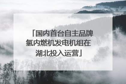 国内首台自主品牌氢内燃机发电机组在湖北投入运营