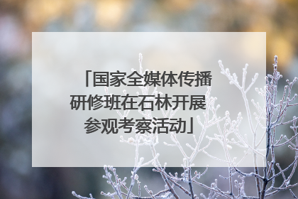 国家全媒体传播研修班在石林开展参观考察活动
