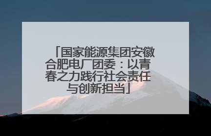 国家能源集团安徽合肥电厂团委：以青春之力践行社会责任与创新担当