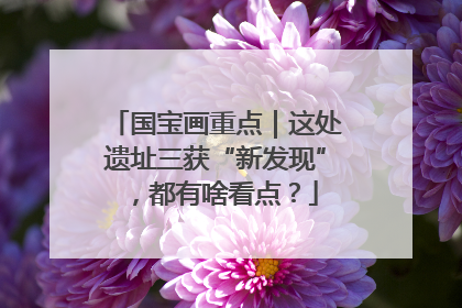 国宝画重点｜这处遗址三获“新发现”，都有啥看点？