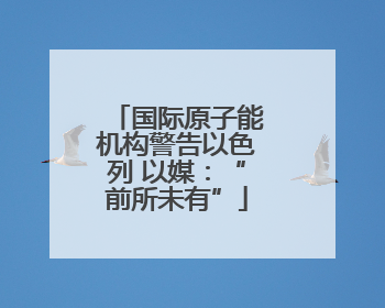 国际原子能机构警告以色列 以媒：“前所未有”