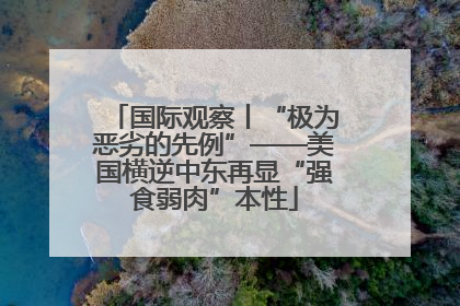 国际观察丨“极为恶劣的先例”——美国横逆中东再显“强食弱肉”本性