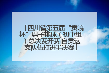 四川省第五届“贡嘎杯”男子排球（初中组）总决赛开赛 自贡这支队伍打进半决赛