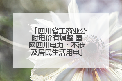 四川省工商业分时电价有调整 国网四川电力：不涉及居民生活用电