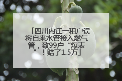 四川内江一租户误将自来水管接入燃气管，致99户“爆表”！赔了1.5万