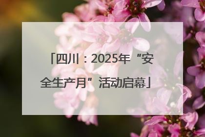 四川：2025年“安全生产月”活动启幕