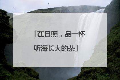 在日照，品一杯听海长大的茶