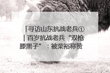 寻访山东抗战老兵①｜百岁抗战老兵“双枪滕黑子”：被粟裕称赞的“孤胆英雄”