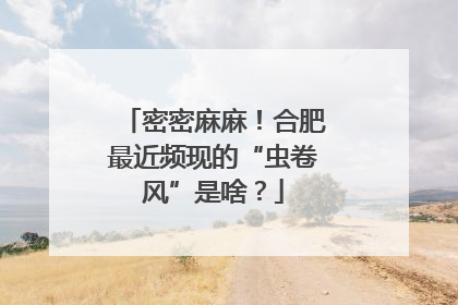 密密麻麻！合肥最近频现的“虫卷风”是啥？
