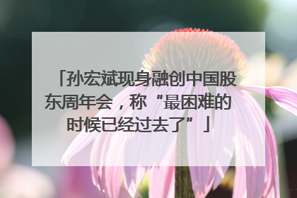 孙宏斌现身融创中国股东周年会，称“最困难的时候已经过去了”