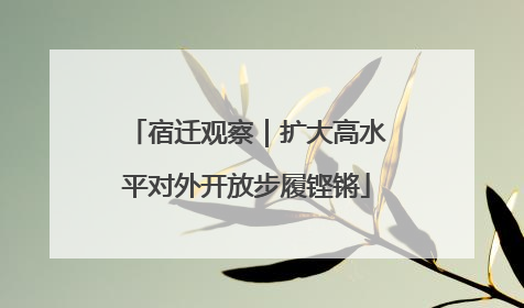 宿迁观察｜扩大高水平对外开放步履铿锵