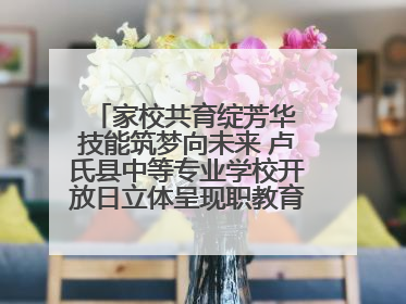 家校共育绽芳华 技能筑梦向未来 卢氏县中等专业学校开放日立体呈现职教育人新图景
