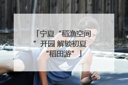 宁夏“稻渔空间”开园 解锁初夏“稻田游”