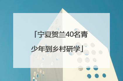 宁夏贺兰40名青少年到乡村研学