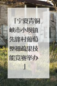 宁夏青铜峡市小坝镇先锋村葡萄整穗疏果技能竞赛举办