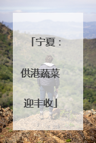 宁夏：供港蔬菜迎丰收