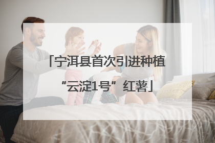 宁洱县首次引进种植“云淀1号”红薯