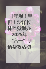 守规！望归！沙洋长林监狱举办2025年“六一”亲情帮教活动