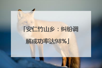 安仁竹山乡：纠纷调解成功率达98%