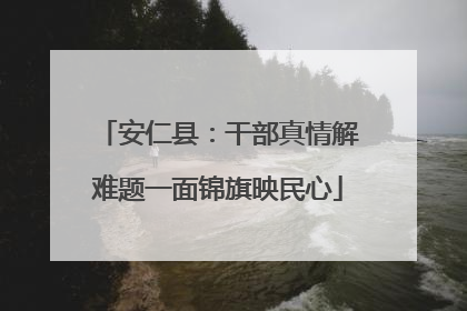 安仁县：干部真情解难题一面锦旗映民心