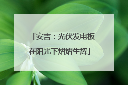 安吉：光伏发电板在阳光下熠熠生辉