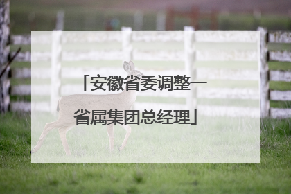 安徽省委调整一省属集团总经理