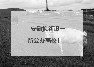 安徽拟新设三所公办高校