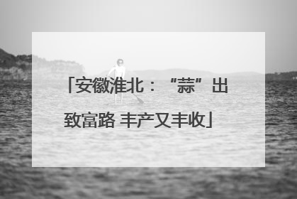 安徽淮北：“蒜”出致富路 丰产又丰收