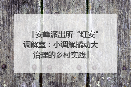 安峰派出所“红安”调解室：小调解撬动大治理的乡村实践