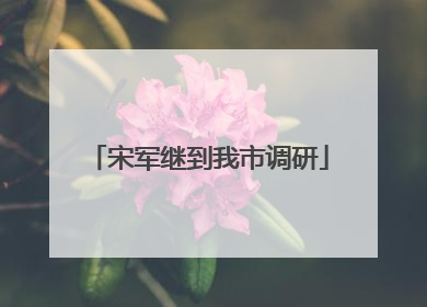 宋军继到我市调研