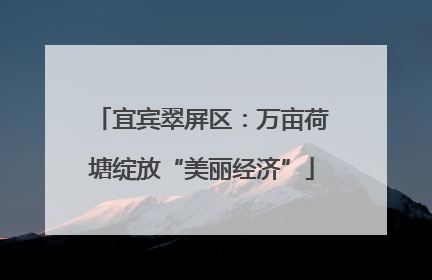宜宾翠屏区：万亩荷塘绽放“美丽经济”