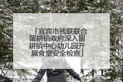 宜宾市残联联合留耕镇政府深入留耕镇中心幼儿园开展食堂安全检查