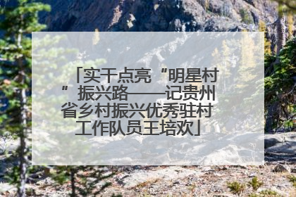实干点亮“明星村”振兴路——记贵州省乡村振兴优秀驻村工作队员王培欢