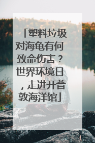 塑料垃圾对海龟有何致命伤害？世界环境日，走进开普敦海洋馆