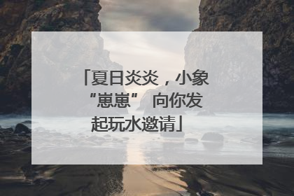 夏日炎炎，小象“崽崽” 向你发起玩水邀请