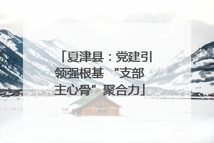 夏津县：党建引领强根基 “支部主心骨”聚合力