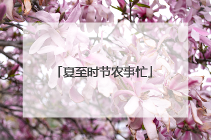 夏至时节农事忙