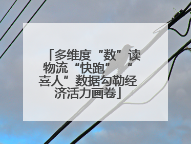 多维度“数”读物流“快跑” “喜人”数据勾勒经济活力画卷
