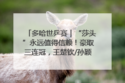 多哈世乒赛｜“莎头”永远值得信赖！豪取三连冠，王楚钦/孙颖莎就是最强混双