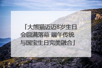 大熊猫迈迈8岁生日会圆满落幕 端午传统与国宝生日完美融合