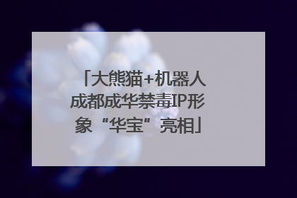 大熊猫+机器人 成都成华禁毒IP形象“华宝”亮相