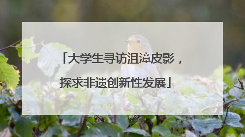大学生寻访沮漳皮影，探求非遗创新性发展
