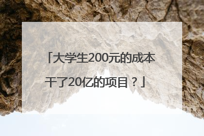 大学生200元的成本干了20亿的项目？