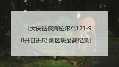 大庆钻探海拉尔乌121-90井日进尺 创区块最高纪录